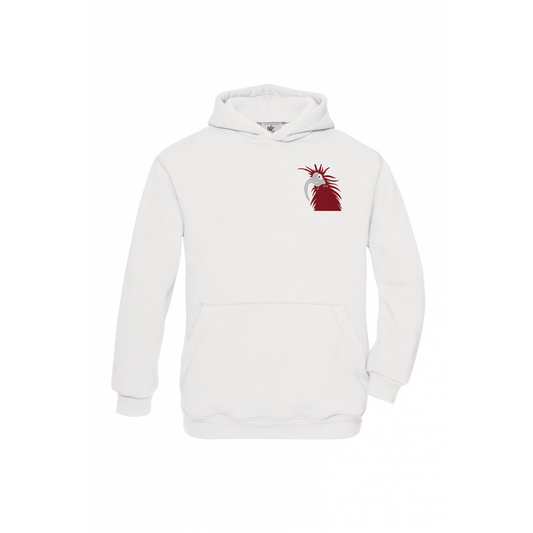 KVC Hoodie Waldrapp Kinder